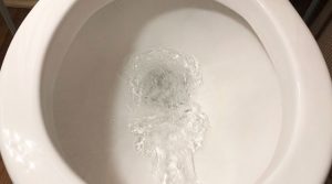 clogged toilet prevention and maintenance