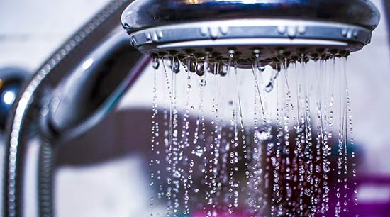 Plumbing preventive maintenance for shower heads and fixtures