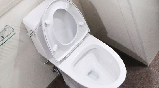 Toilet bowl unclogged and functional