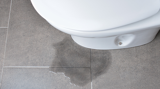 When your toilet leaks from the bottom it should be repaired quickly